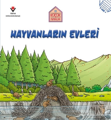 Hayvanların Evleri - Küçük Mimarlar